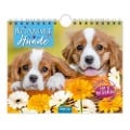 Trötsch Notizkalender Querformat Notizkalender Hunde 2025 mit 12 Postkarten - 