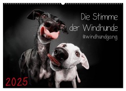 Die Stimme der Windhunde (Wandkalender 2025 DIN A2 quer), CALVENDO Monatskalender - Marcus Gier