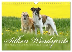 Silken Windsprite - Mit Merlin und Calisto durch¿s Jahr 2026 (Wandkalender 2026 DIN A4 quer), CALVENDO Monatskalender - Maike Müller - Goldenmerlo. De