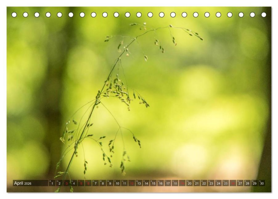 InsideView 9