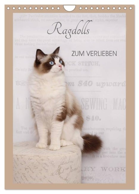 Ragdolls zum Verlieben (Wandkalender 2026 DIN A4 hoch), CALVENDO Monatskalender - Marion Reiß-Seibert
