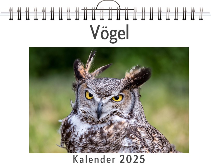 Vögel - (Wandkalender 2025, Kalender DIN A4 quer, Monatskalender im Querformat mit Kalendarium, das perfekte Geschenk) - Leah Schwarz