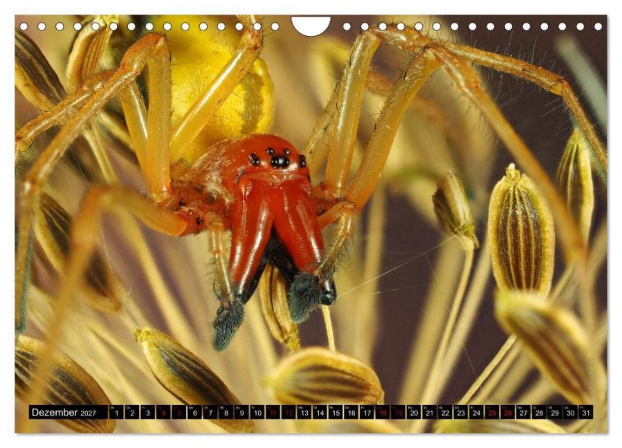 InsideView 4