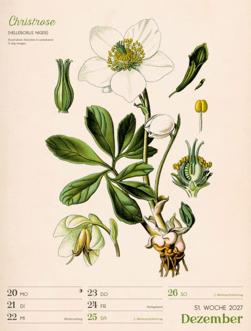 InsideView 55