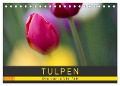 Tulpen - die bunte Vielfalt (Tischkalender 2024 DIN A5 quer), CALVENDO Monatskalender - Peter Schürholz