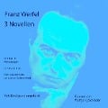 3 Novellen - Franz Werfel