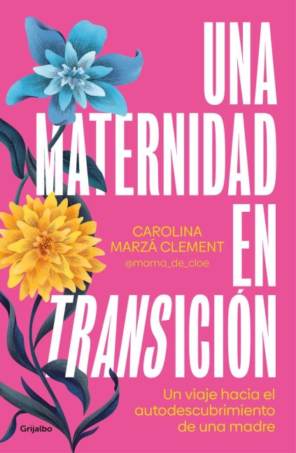 Una Maternidad En Transición / Maternity in Transition - Carolina Marzá Clement
