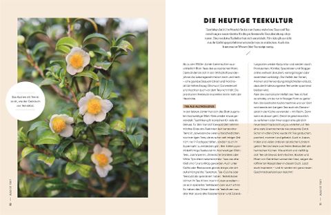 InsideView 3