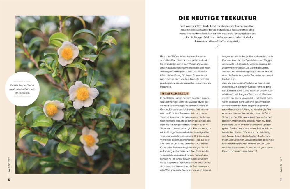 InsideView 3