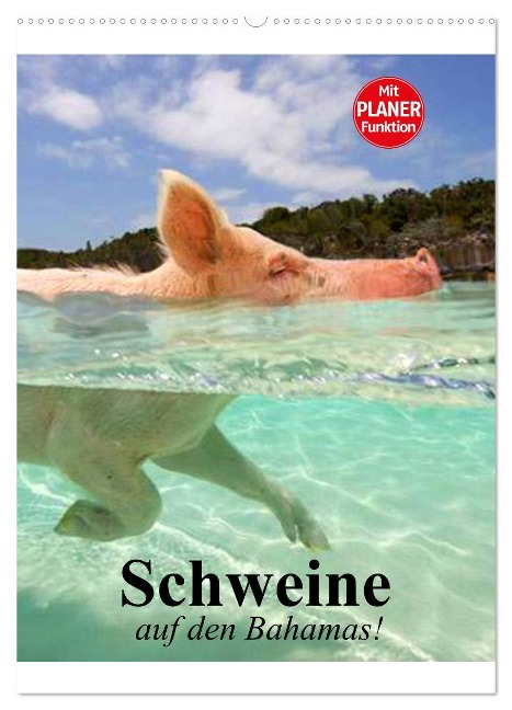 Schweine auf den Bahamas! (Wandkalender 2025 DIN A2 hoch), CALVENDO Monatskalender - Elisabeth Stanzer