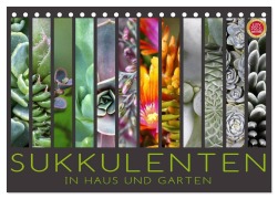 Cover-Bild zum Titel 'Sukkulenten in Haus und Garten (Tischkalender 2026 DIN A5 quer), CALVENDO Monatskalender' von 'Martina Cross'