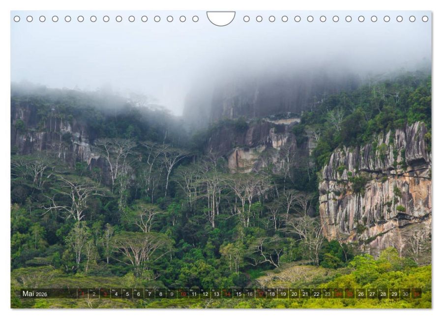 InsideView 10