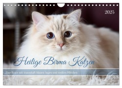 Heilige Birma Katzen mit traumhaft blauen Augen und weißen Pfötchen (Wandkalender 2025 DIN A4 quer), CALVENDO Monatskalender - Michaela Thoms