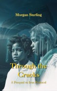 Cover-Bild zum Titel 'Through the Cracks (The Iron Protocol Archives, #0.5)' von 'Morgan Sterling'