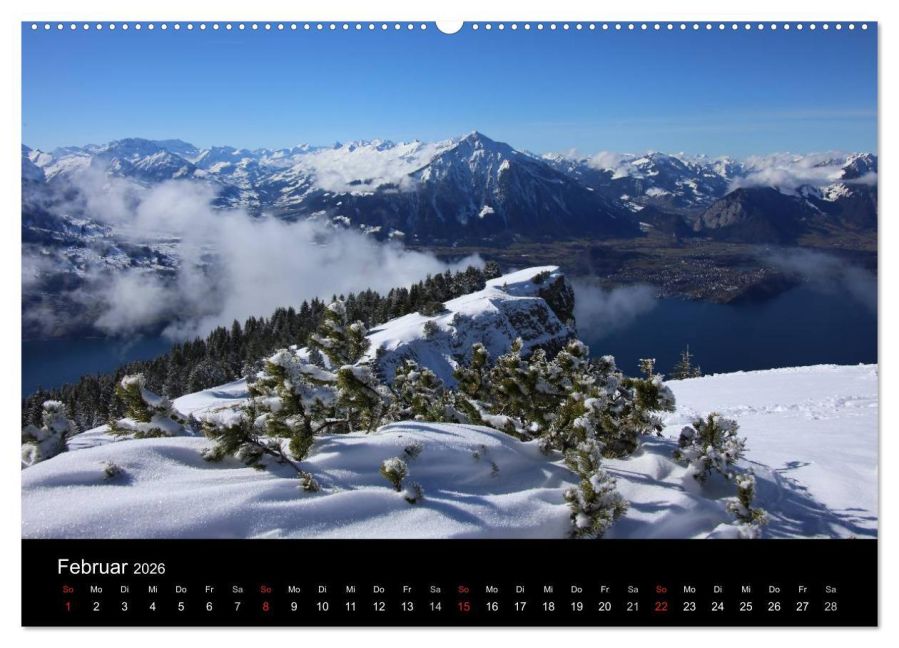 InsideView 7