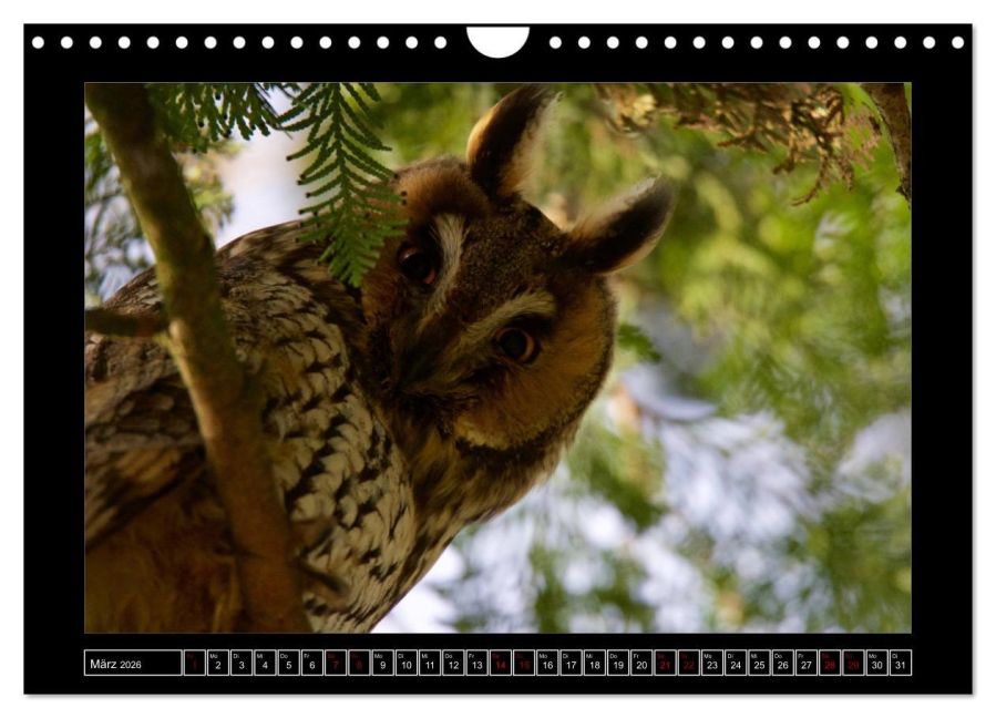 InsideView 8