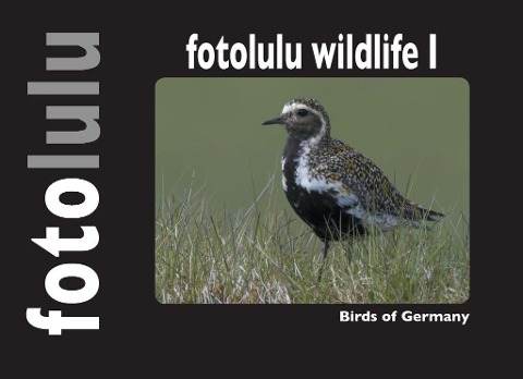 fotolulu wildlife I - Fotolulu