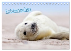 Cover-Bild zum Titel 'Robbenbabys (Tischkalender 2026 DIN A5 quer), CALVENDO Monatskalender' von 'Jenny Sturm'