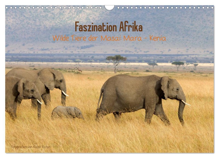 Faszination Afrika - wilde Tiere der Masai Mara - Kenia (Wandkalender 2026 DIN A3 quer), CALVENDO Monatskalender - Ralph Patzel