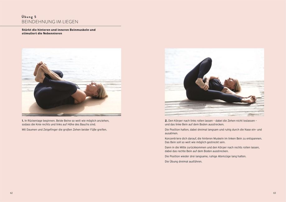 InsideView 5