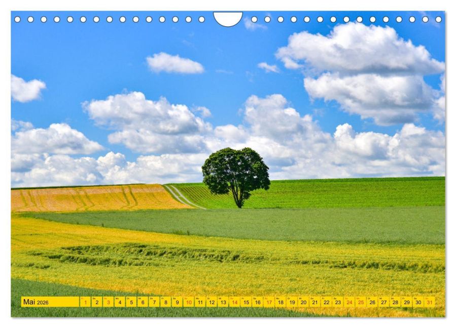 InsideView 10