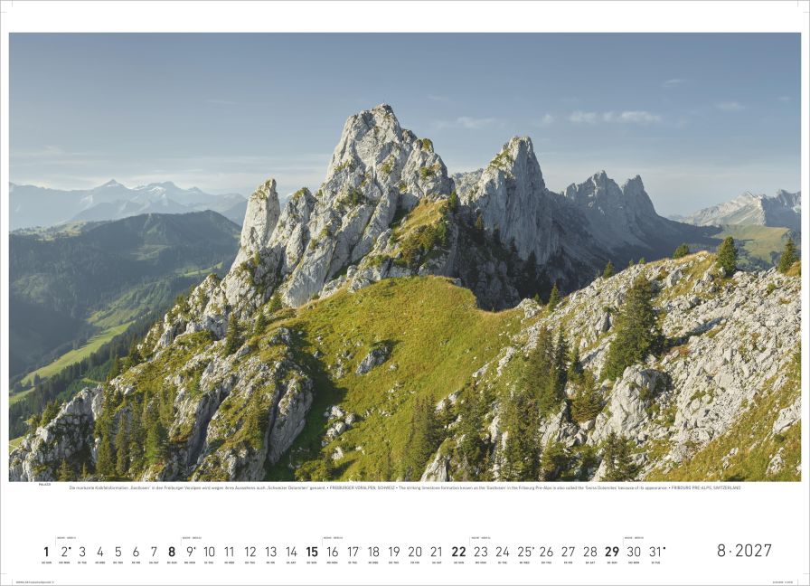 InsideView 4