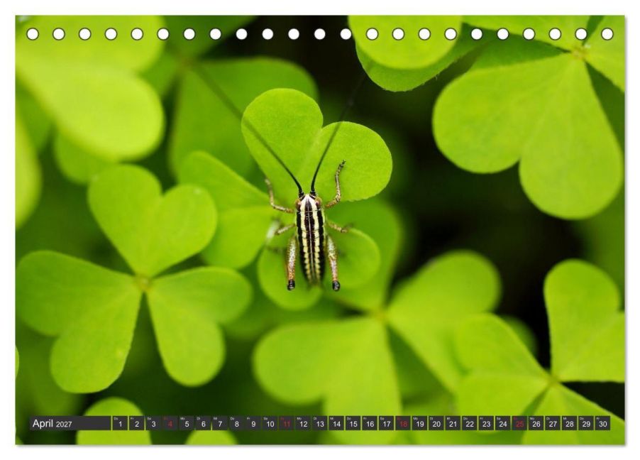 InsideView 9