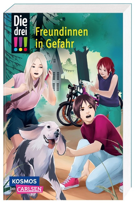 Die drei !!! 50: Freundinnen in Gefahr (Dreifachband. Enthält die Bände: Verlorenes Herz, Spuren der Vergangenheit, Falsche Freunde) - Maja von Vogel, Henriette Wich, Mira Sol