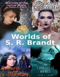 Cover-Bild zum Titel 'Worlds of S. R. Brandt' von 'S. R. Brandt'