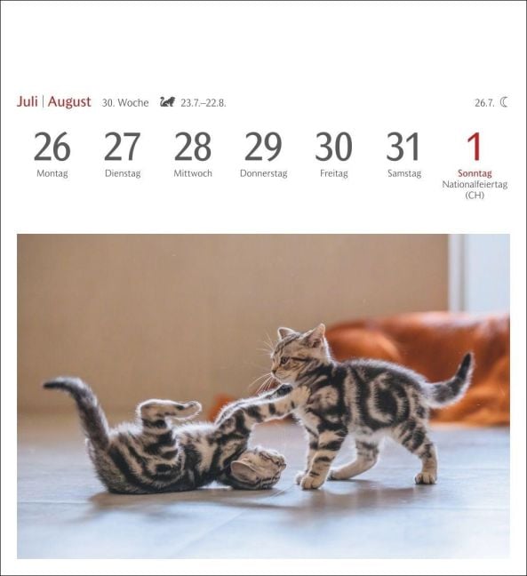 InsideView 11