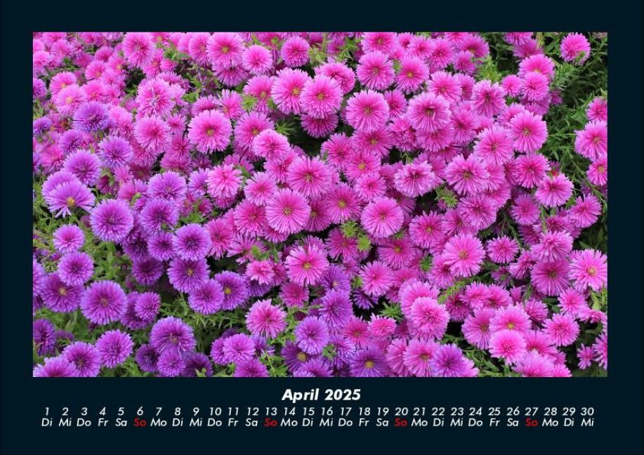 InsideView 8