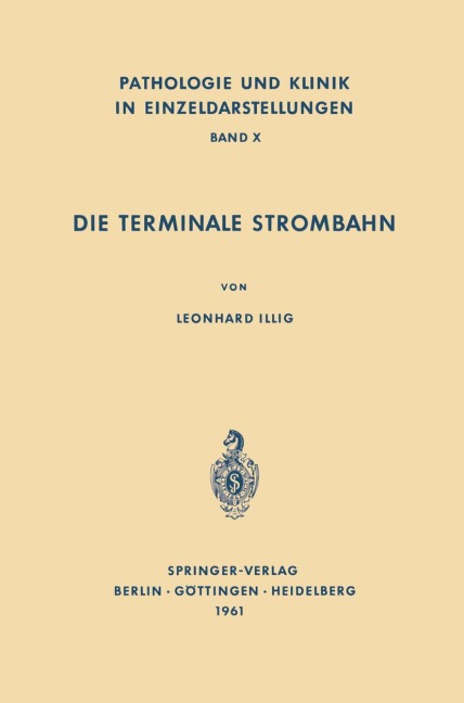 Die Terminale Strombahn - L. Illig