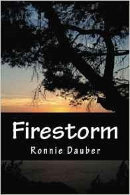 Firestorm (Sarah Davies, #2) - Ronnie Dauber