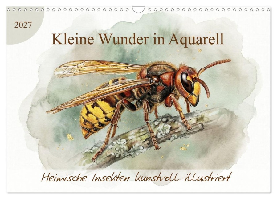 Kleine Wunder in Aquarell - Heimische Insekten kunstvoll illustriert (Wandkalender 2027 DIN A3 quer), CALVENDO Monatskalender - LaPics LaPics