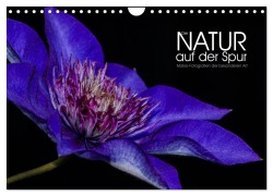 Cover-Bild zum Titel 'Der Natur auf der Spur - Makro-Fotografien der besonderen Art (Wandkalender 2026 DIN A4 quer), CALVENDO Monatskalender' von 'Dirk Vonten'