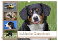 Entlebucher Sennenhunde Emma und Luna (Wandkalender 2024 DIN A3 quer), CALVENDO Monatskalender - SchnelleWelten SchnelleWelten