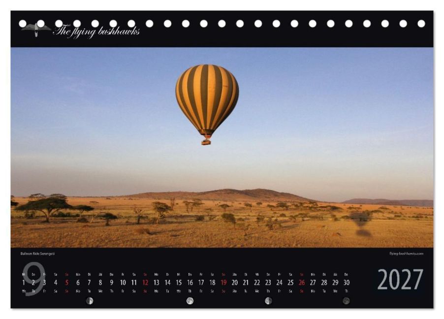 InsideView 14