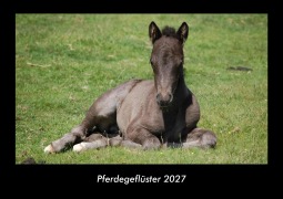 Cover-Bild zum Titel 'Pferdegeflüster 2027 Fotokalender DIN A3' von 'Tobias Schmitt, Kevin Heber'