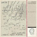 Cover-Bild zum Titel 'This Wild Willing' von 'Glen Hansard'