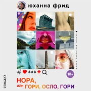 Cover-Bild zum Titel 'NORA ELLER BRINN OSLO BRINN' von 'Johanna Frid'
