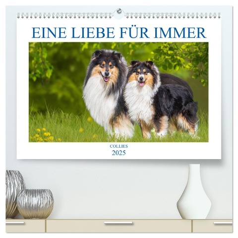 Eine Liebe für immer - Collies (hochwertiger Premium Wandkalender 2025 DIN A2 quer), Kunstdruck in Hochglanz - Sigrid Starick