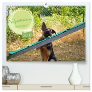 Cover-Bild zum Titel 'Welpentraining auf dem Hundeplatz (hochwertiger Premium Wandkalender 2026 DIN A2 quer), Kunstdruck in Hochglanz' von 'Babett Paul - Babetts Bildergalerie'