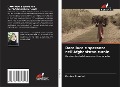Cover-Bild zum Titel 'Dare luce e speranza nell'Afghanistan rurale' von 'Karina Standal'