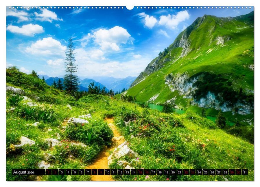 InsideView 12