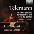 Telemann:Trio Sonatas With Recorder,Viola Da Gamba - Various