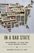 Cover-Bild zum Titel 'In a Bad State' von 'David Schleicher'