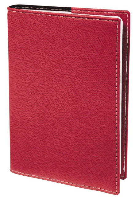 PLAIN vz DE Club kirschrot 2027 - 
