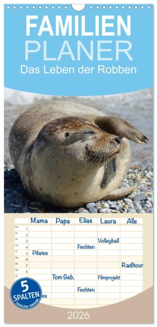 Familienplaner 2026 - Das Leben der Robben mit 5 Spalten (Wandkalender, 21 x 45 cm) CALVENDO - Kattobello Kattobello