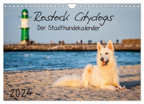 Rostock Citydogs - Der Stadthundekalender (Wandkalender 2024 DIN A4 quer), CALVENDO Monatskalender - Jill Langer