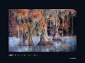 Magische Wälder - KUNTH Wandkalender 2025 - 